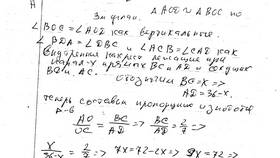 Чему равна сумма оснований трапеции в Леонардо