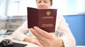 Что означает государственная пенсия в Леонардо