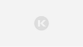 Что такое свидетельство ИП в Леонардо