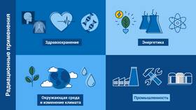 Что значит информационные услуги в Леонардо
