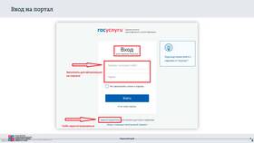 Инструкция по подаче заявления через Госуслуги