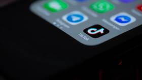 Как найти аккаунт в TikTok в Леонардо