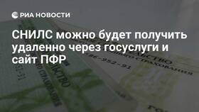 Как найти СНИЛС ребенка на сайте ПФР в Леонардо