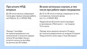 Как оплатить налоги в 2024 году в Леонардо