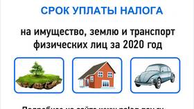 Как проверить оплату налога в Леонардо