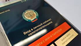 Как узнать штрафы по ИНН в Леонардо