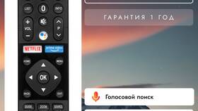 Как включить телевизор Panasonic без пульта дистанционного управления в Леонардо