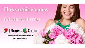 Как войти в личный кабинет Сплит в Леонардо