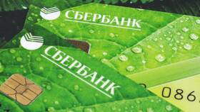 Как заказать платежное поручение в Сбербанке онлайн в Леонардо