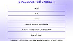 Прямые и косвенные налоги: краткое сравнение в Леонардо
