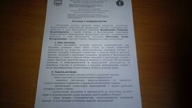 В чем суть договора поручения в Леонардо