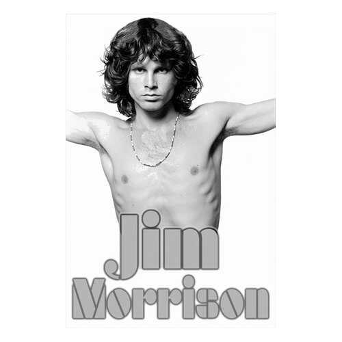 Постер СТ-Диалог Jim Morrison, МУЗ-314, бумага, 60х90 см в Леонардо