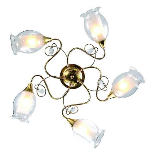 Люстра потолочная Arte Lamp A9289PL-5GO в Леонардо